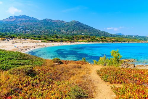 La plage de Saleccia et le dsert des Agriates en Corse