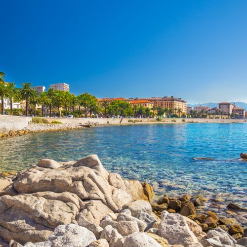 Une promenade borde de palmiers et des eaux de la Mditerrane   Ajaccio en Corse