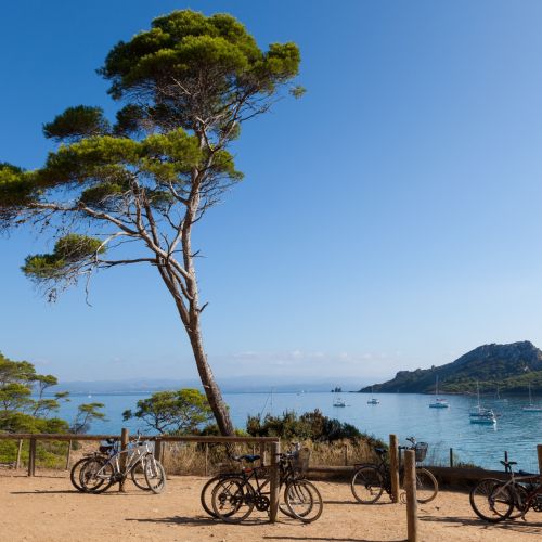 Location de vélo pour partir à la découverte de l'île de Porquerolles dans le sud de la France