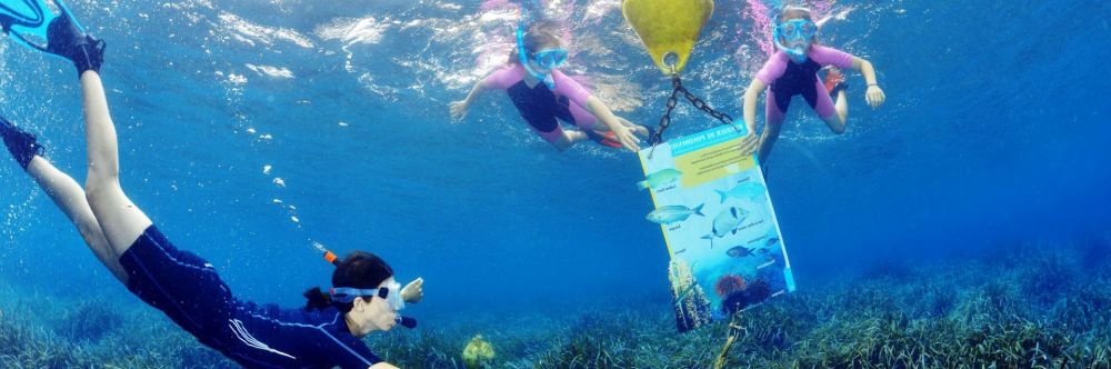 Une femme et deux fillettes regardant un panneau informatif sur un sentier balis de snorkeling  Port-Cros sur la Cte d'Azur