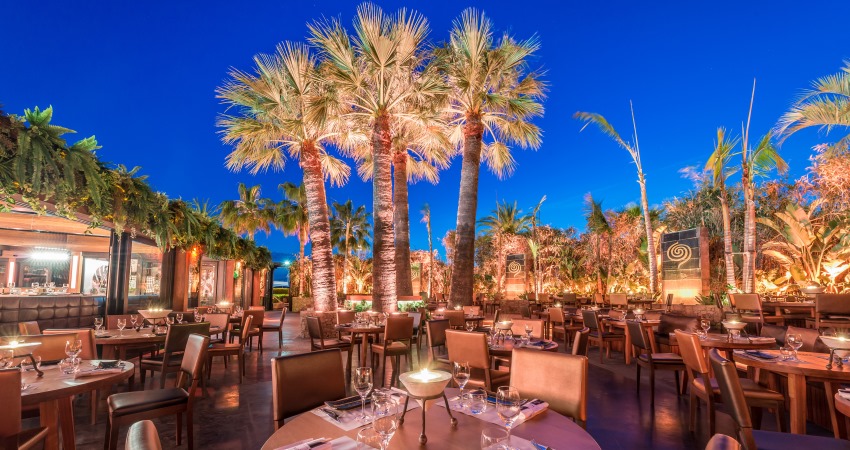 La terrasse du Baoli  Cannes  la tombe de la nuit avec des clairages dans les palmiers