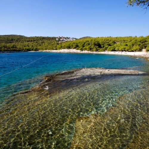 Une plage sauvage sur l'le de Vis en Croatie