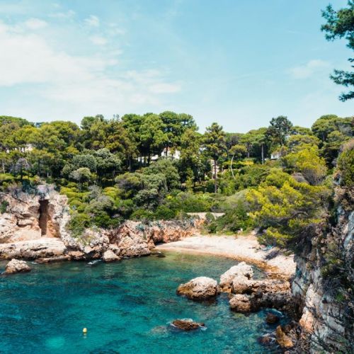 Une crique sauvage du Cap d'Antibes sur la Cte d'Azur