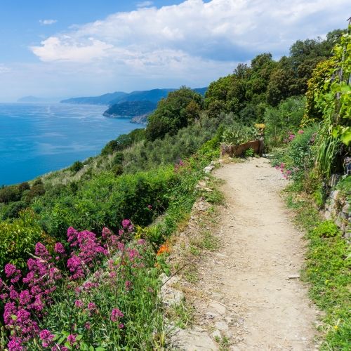 Un chemin de randonne dans les Cinque Terre