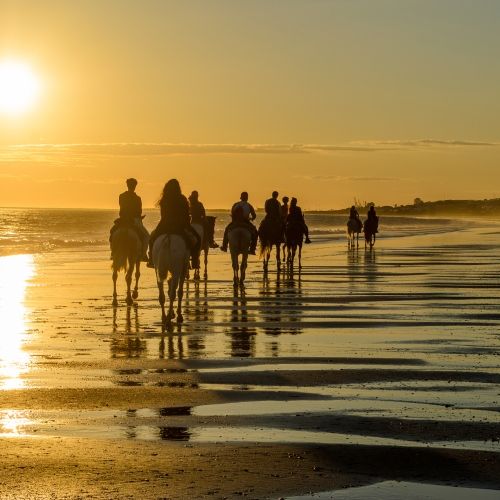 Des cavaliers sur la plage lors d'une balade  cheval au coucher de soleil