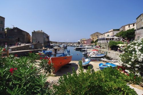 Le charmant village de Centuri construit autour d'un petit port 