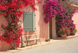 Une faade de maison recouverte d'un superbe bougainvillier en fleurs sur l'le de Porquerolles