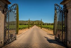 Un portail en fer forg  l'entre d'un domaine viticole en Provence